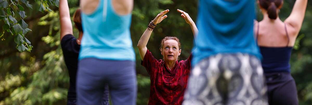 Mehrere Leute machen Qi Gong im Wald
